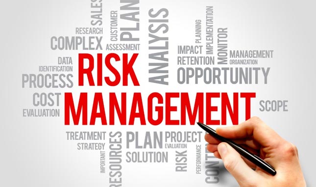 Vision and Mission of Risk Management