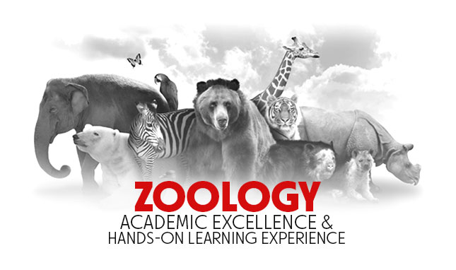 Best B.Sc. Zoology College in Punjab, North India - Chandigarh University