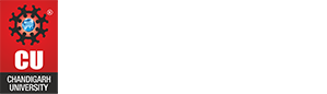 University Institute of Design 