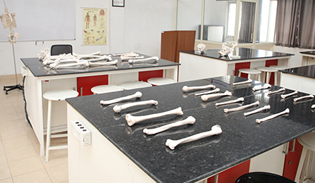Physiotherapy Labs at Chandigarh University, India